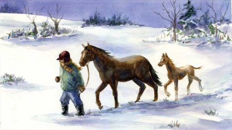 The Night Daddy Found the Horses in Snow Drifts Image